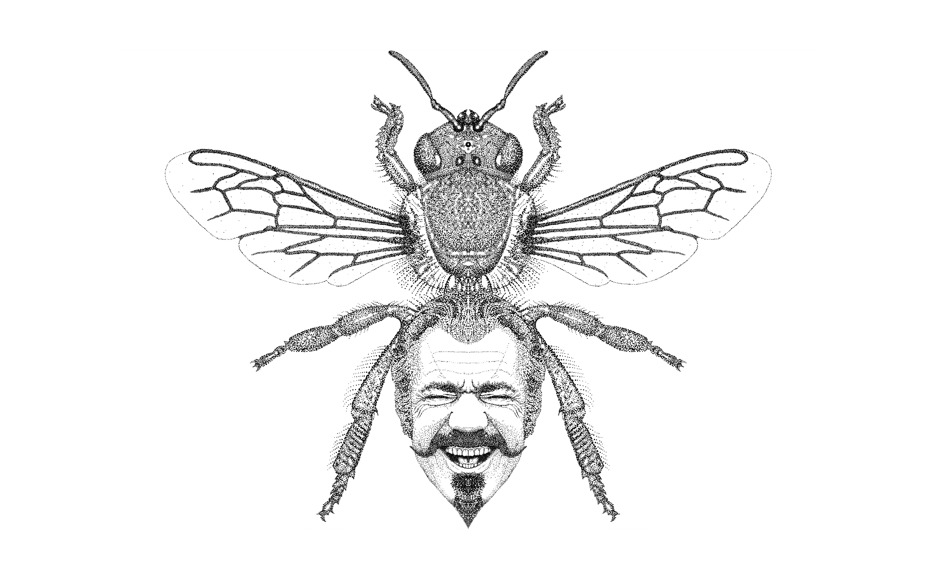 Logotype Miel Gibson in portfolio grid view